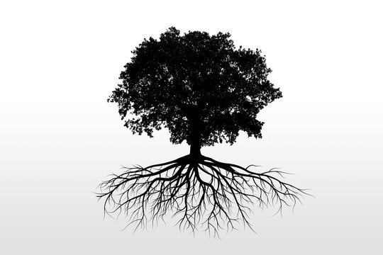 Albero nero molto dettagliato con radici e rami sottili